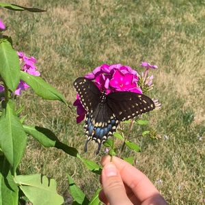 Meet your Posher, Halina